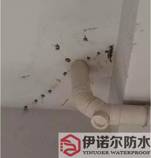 张家港苏州防水工程的基本内容是什么？